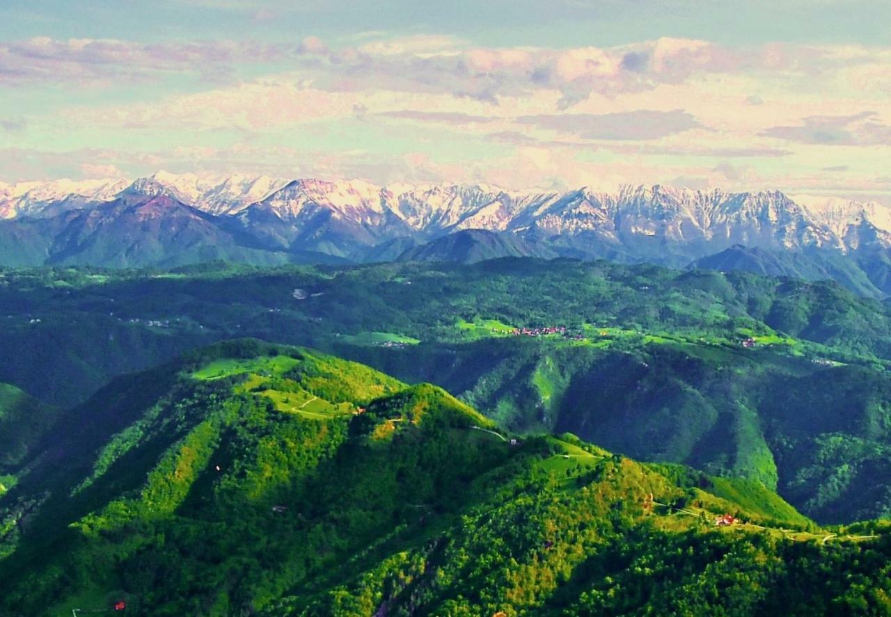 Apartma Alpski Vrt Vojsko Esterno foto
