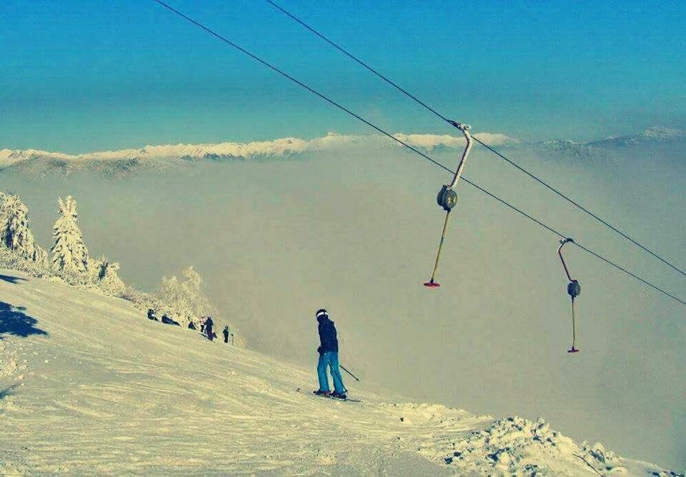 Apartma Alpski Vrt Vojsko Esterno foto