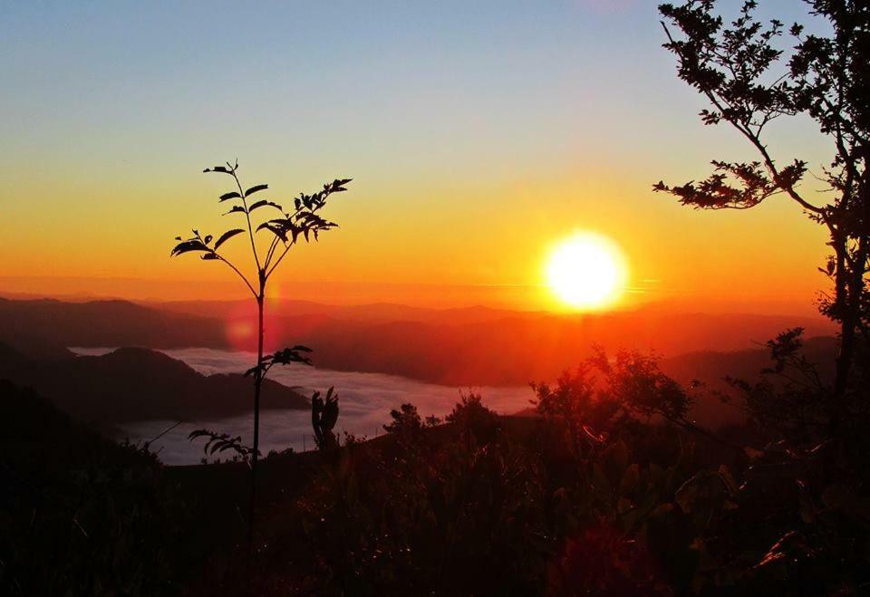Apartma Alpski Vrt Vojsko Esterno foto